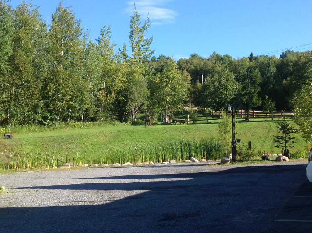 Auberge La Cote D'Or Petite-Riviere-Saint-Francois Esterno foto